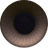 Left Eye